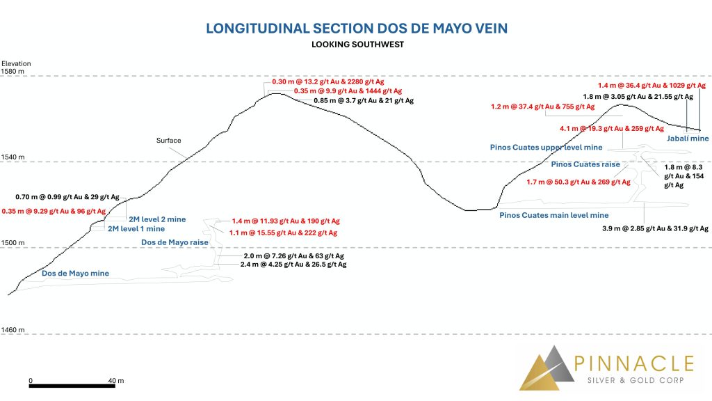 Longitudinal Section